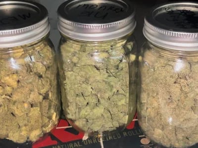 America’s 420 Delivery Hub: Reliable 420 Mail Order weed online Anytime