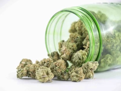 Online Marijuana UK: What You Need to Know About Legality