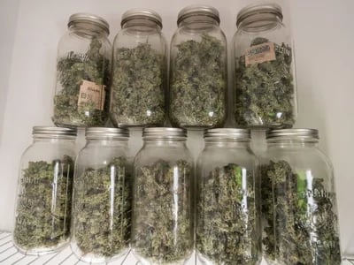 Euro Weed Clinic – Your Trusted Spot to Buy Cannabis Extracts Europe Online
