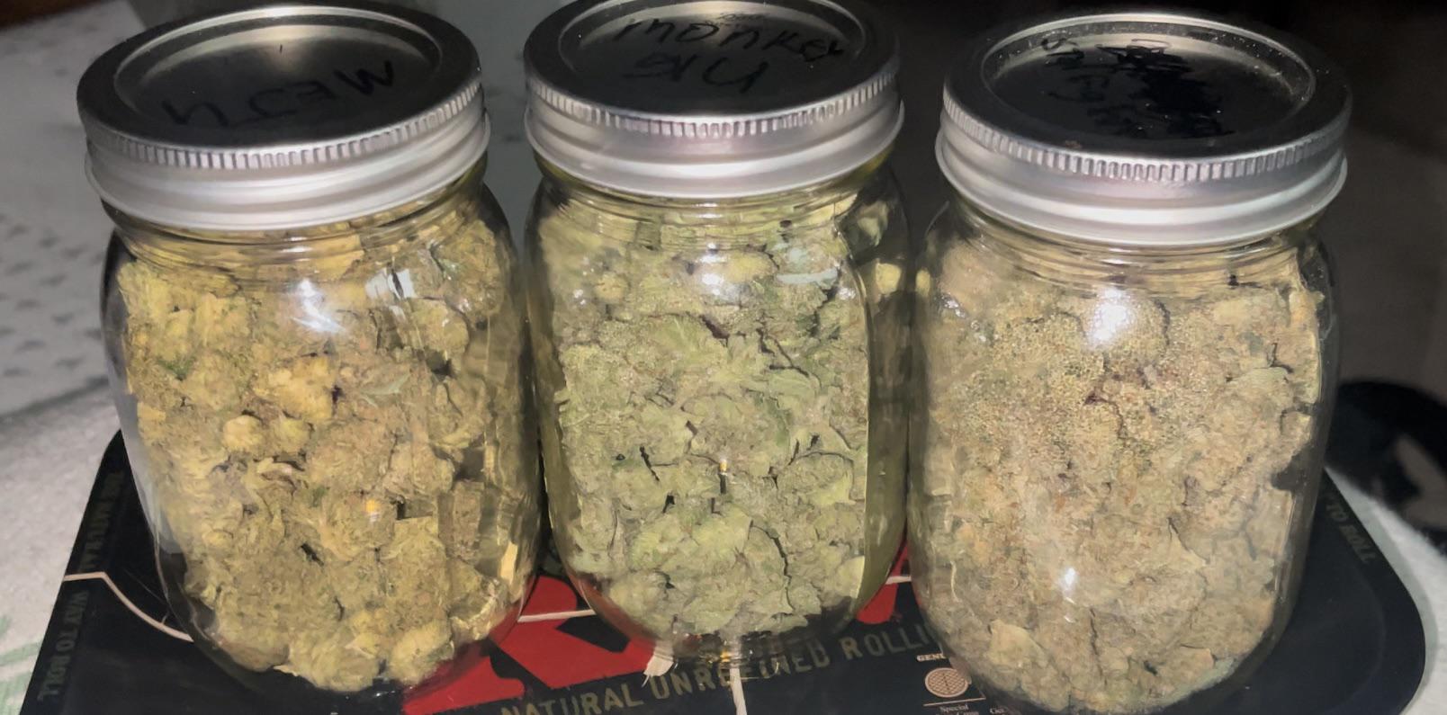 America’s 420 Delivery Hub: Reliable 420 Mail Order weed online Anytime