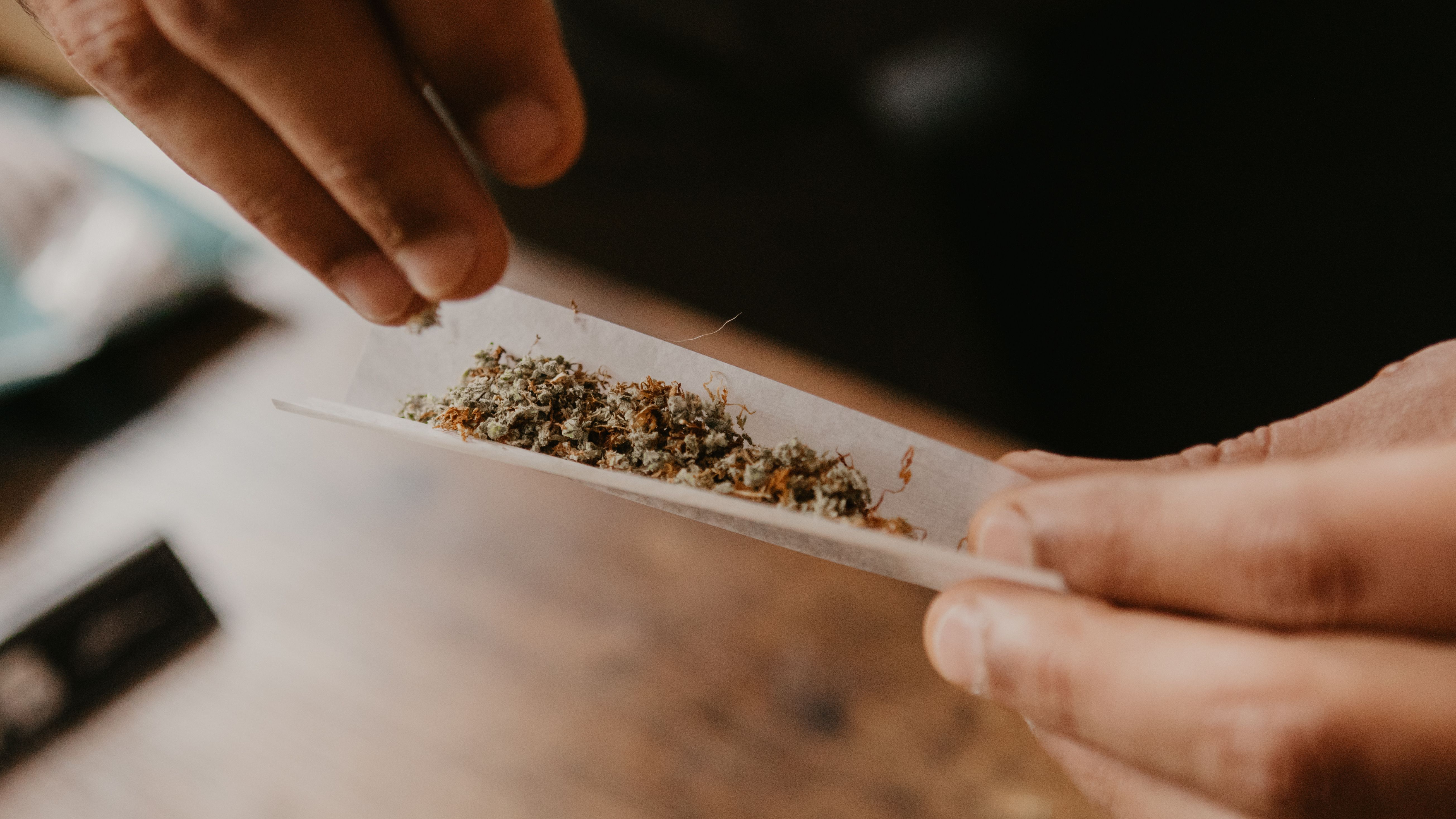 Buy Premium Pre Rolled Joints for Sale Europe – Legal THC Flower: A Complete Guide