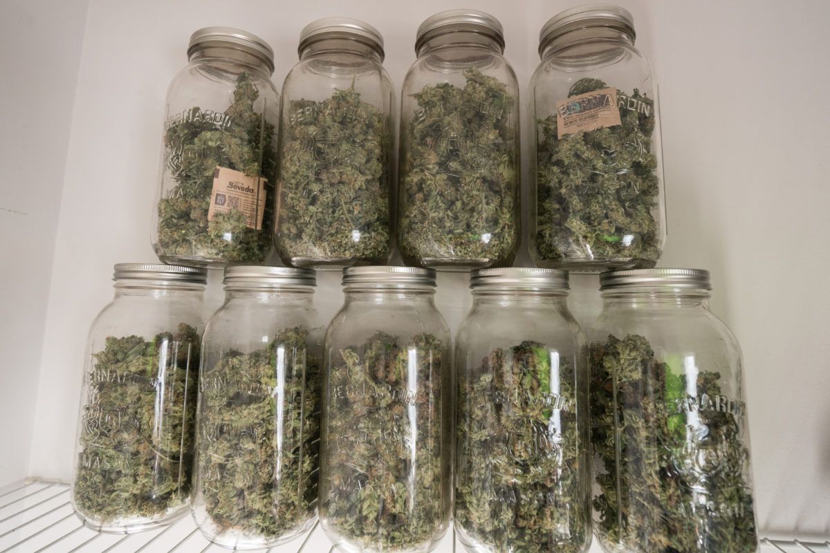Euro Weed Clinic – Your Trusted Spot to Buy Cannabis Extracts Europe Online